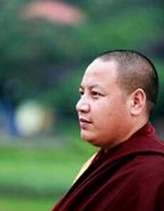 丹增智美仁波切的五十句禅语