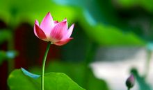 做人的道理的句子