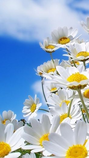 12.家庭的爱在我们身边，等待着我们挖掘，让我们成为有爱心的人，尝试品尝周围的爱，丰富和丰富多彩的生活。