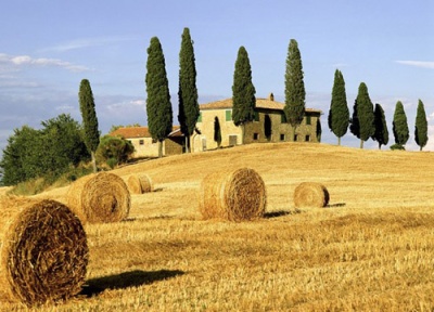 12.为美留下过去，为幸福留出现在，为了顺畅的旅程留有未来，为了健康而永远留着幸福，为心情而幸福，为事业带来好运，为幸福带来希望，为家庭带来和谐，为假期留下欢乐，寄出祝福您，并祝您元旦快乐！