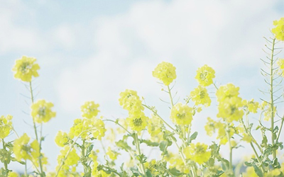 10.家庭的感情比爱情更有价值，但它常常使我更加失望。