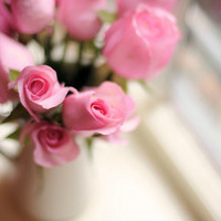 10.普通的家庭感情如何，弥漫着生活的点点滴滴在我身边徘徊。