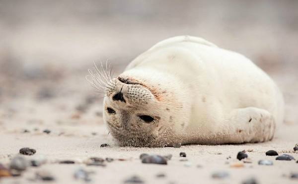 伤心的QQ空间谈