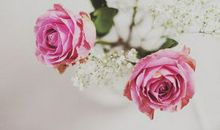 亲情母爱永恒的句子