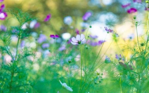 10.让思想成为一千束光芒，穿越时空的隧道，寻找无意间迷失的岁月；