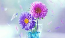 亲情平安幸福句子