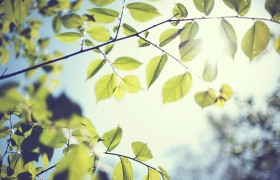 10.有人说世界很复杂，但这只是人们内心的复杂性；幸福是一个人一生中最重要的事情。拥有健康的身体，在快乐的心态中做自己想做的事，安全地实现自己的价值是人生最大的幸福。美好的时光并不总是存在，美好的花朵也不会盛开。人生苦短，珍惜它，善待它，把握住它。