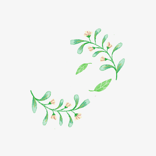 12.那些“孩子要孝顺，亲戚不在，亲人要报答，但男人走了”的人经常留下来，永远讨厌！照顾年轻人，并照顾好您的家人。