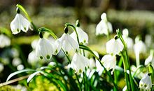 开心的句子说说心