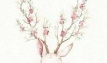 亲情议论抒情句子