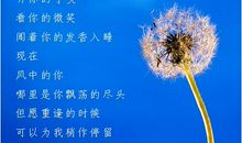 向往自由的句子