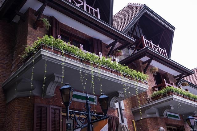 11.他们像两只小鸟一样手拉手飞过田野，飞向村庄，到达大院。