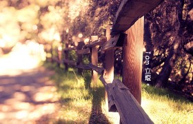 12.小强'着眼睛，像捏的指甲一样，变成了两个弯曲的缝隙。