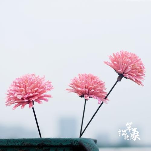 10.如果您想变薄,则必须付出一定的代价。如果您太娇气,就不要开始。如果没有好的方法,那就忍受。不要问我如何忍受,就是不要吃东西。