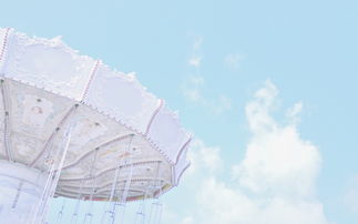 10.在你的陪伴下，我的微笑从清晨一直到深夜。和你在一起，我的世界已经结束了所有的悲伤；和你在一起，我的幸福将不再有任何缺点。一辈子的爱，因为你就足够了。