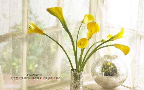 12.每个人都说父亲的爱就像山一样,母亲的爱就像水一样,母亲的爱就像水的温柔一样温柔,父亲的爱像平静的山一样深,山河间,山河间,山河间相互映衬,播放幸福的情歌。