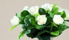 不求回报的亲情句子