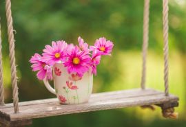 11.家庭感情,像蜂蜜一样古老,给你甜美的味道;感情就像沙漠中清澈的春天一样,可以在您遇到困难时为您提供帮助;感情就像一艘船,载着你长途航行。