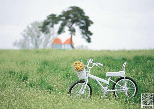 10.家庭感情是美索不达亚平原上的铭文，含糊但永恒。