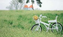 关于亲情的暖心句子