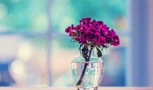 女孩突然不开心的句子