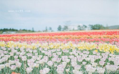 10.如果您的父母在这里，那么如果您不走很远，就必须旅行得很好。