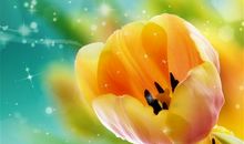 形容亲情的句子画面