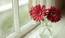 古风表达亲情句子