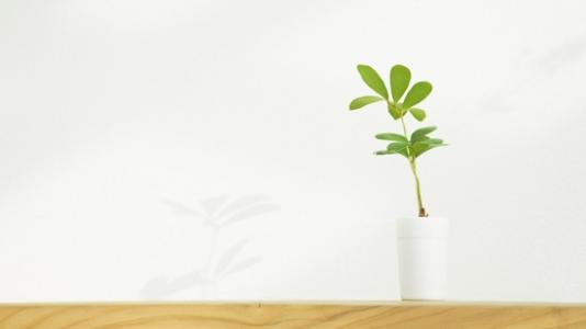 11.无论您是快乐，沮丧，痛苦还是犹豫，家庭感情都是最大的