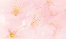 亲情重要的句子幽默表达