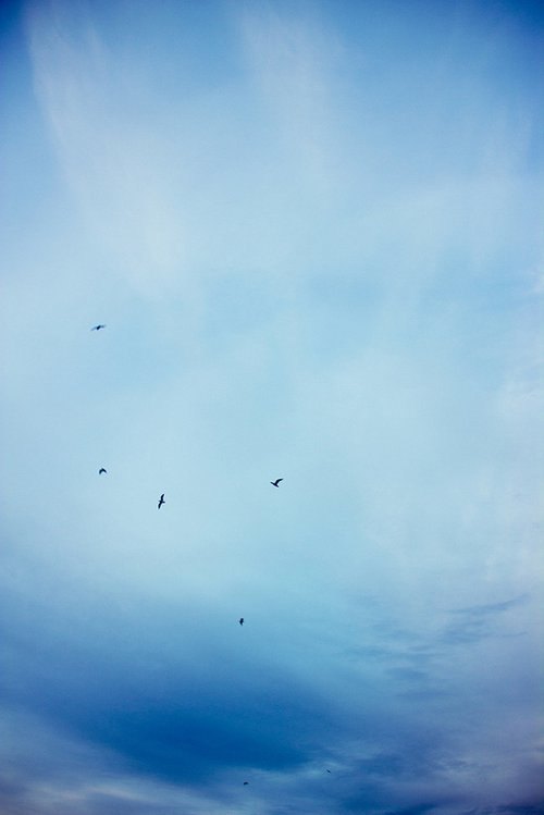 10.父母的爱是对孩子的一种自然的爱，一种自然的爱。就像雨从天而降，莫可抗拒。