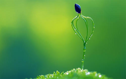 12.家庭情感，就像一盏灯，照亮了您应该过的生活。