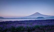 正能量的开心句子