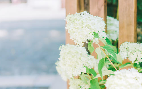 10.家庭感情就像喝杯茶，可以温暖您的心脏。