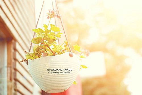 12.在家里，每当我吃晚餐时，都会有筷子移动的声音。这不是暴食，而是我们互相给食物，让他吃更多的好东西。这是我一家人的幸福腰带。来到一个温暖的家庭。这种家庭生活使我对家庭有多温暖。