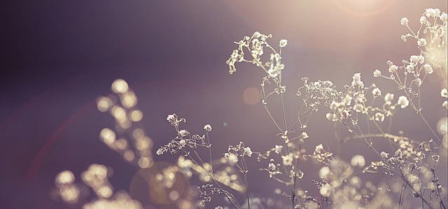 12.亲情是父亲在寒冷时穿上的外套，是母亲在深夜为您冲奶的一杯；亲情是孩子温柔的小手擦了擦额头上的汗水，母亲则在疲倦时递茶，适时的体贴...