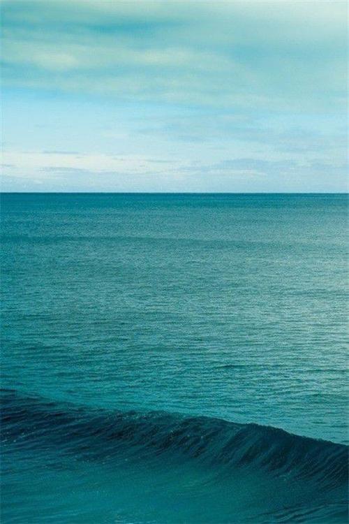 10.家庭情感是人类不能放弃的事情，因为只有这样，我们才能得到亲人的照顾，并在我们年轻的时候过上好生活！