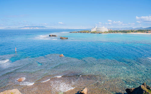 10.这是一碗普通的鸡蛋炒饭，但是当我饿的时候可以安慰我。