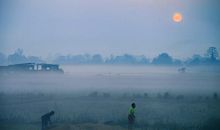 一句让你从开心到失望透顶的句子