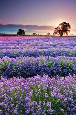 11.陪伴我们度过每个难忘的日子，共创多彩的生活。