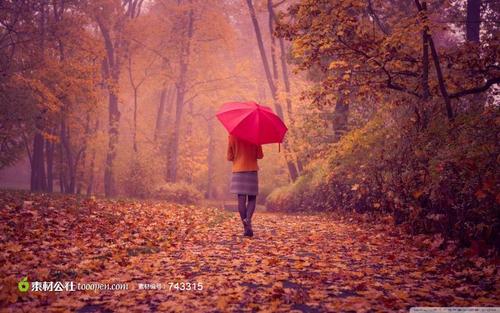 12.每个孩子都不完美，不完整甚至不健全。是的，这需要我们的教育和指导。父母对孩子的期望越高，失望就越大。