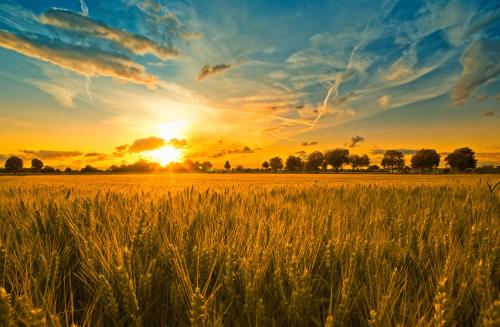 12.想想和我一起看日出和日落的快乐！