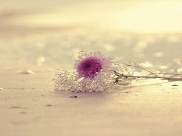 9.生活就像剥洋葱一样，总有一块会让人们哭泣。