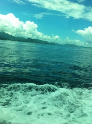 11.祝您新年快乐。已经准备好吉祥词，并编辑了祝福短信。新年伊始，当春天重返大地时，祝您新年快乐，充满财富和好运！