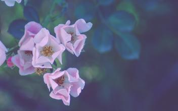 11.折叠爱的风筝，穿越时空。无论您在哪里，都有我公司的身影。悬挂一颗爱心之星，以阐明思想和提醒，无论您在哪里，我都会感到疲倦和亲切。想念你，祝你每天心情愉快。