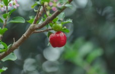 11.有时候兄弟会是这样的事情，它不需要时间的洗礼，不需要永恒的爱誓言。您只需要有共同的感受，共同的思想和共同的梦想，您就会在最危险的时刻相互支持。