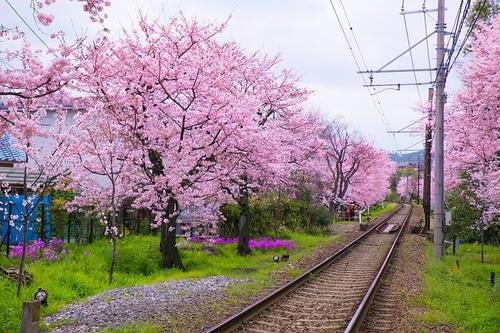 12.春天来了。今天在这个春雨中，我清楚地听到了女孩春在呼唤我们，以微微的步伐来到了大地。
