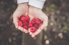 12.梦想；时间不够长，但是我们需要梦想。爱;人们总是受到伤害，但我们仍然记得。雨;不管它有多美丽，我们仍然喜欢阳光。您;尽管不在我身边，但我永远不会忘记你，亲爱的兄弟。你好吗？