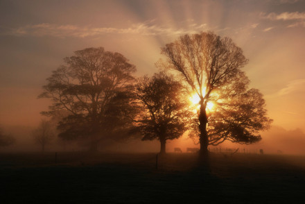 谈论情绪短语的第十阶段