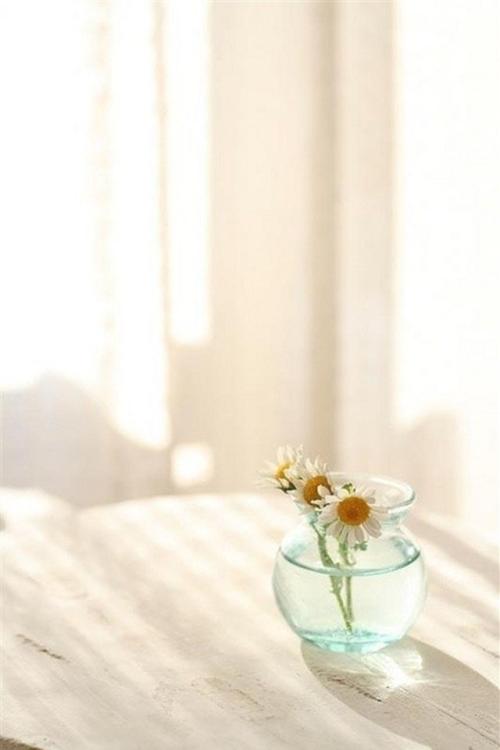 12.家庭的感情就像河水源源不断,流淌的是对流浪者心中永恒的向往。家庭之情就像一堆堆无尽的细沙,而沉淀的是多年积累的护理。家人的感情就像夜空中的北斗七星,引导着失去的羊羔回家的方向。